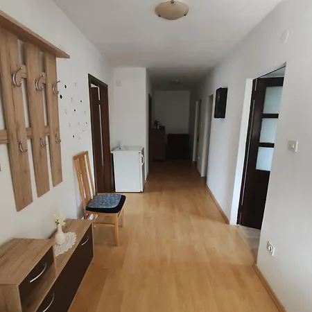 Apartment Dora Draga Bascanska